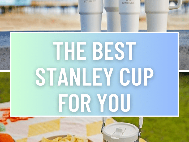 The Best Stanley Cups for Every Occasion: Your Ultimate&nbsp;Guide